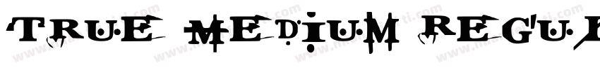 True Medium Regular字体转换
